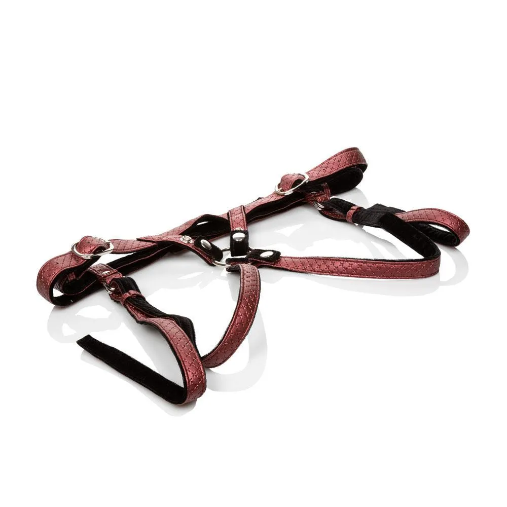 Her Royal Harness The Regal Duchess